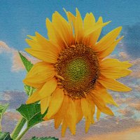 ***** :: Анатолий Уткин