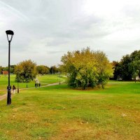 КОЛОМЕНСКОЕ :: АЛЕКСАНДР 