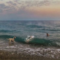 Преданней собаки нету существа :: AZ east3