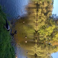 Осень :: Сапсан 