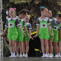 Перед выступлением :: Татьяна Машошина