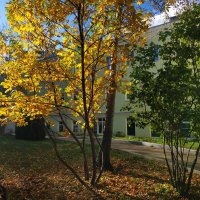 Наполовину Золотая осень :: Андрей Лукьянов Наполовину Золотая осень :: Андрей Лукьянов