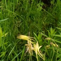 мгновенье лета :: Галина R... мгновенье лета :: Галина R...