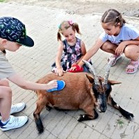 Ну почешите еще, еще) :: Veera V Ну почешите еще, еще) :: Veera V