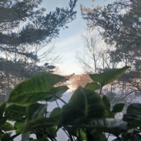 Зимний  вид :: Андрей Хлопонин