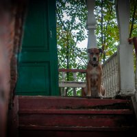 Чё нада?... :: Prinz Eugen 