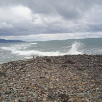 Новороссийск :: Елена Шаламова Новороссийск :: Елена Шаламова