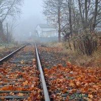 Навстречу осени :: Галина Шеина-Мюльдорфер