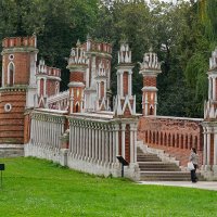 Фигурный мост :: Ольга 