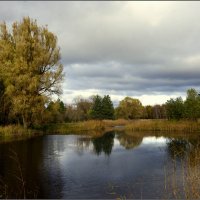 ***Осень во всй красе :: Aleksandr Gal
