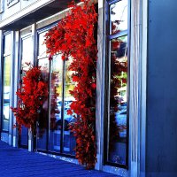 Приходите! :: Юрий Гайворонскiий