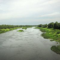 Река Молога :: Александр Ильчевский 
