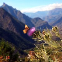 Высоко в горах.... :: M Marikfoto