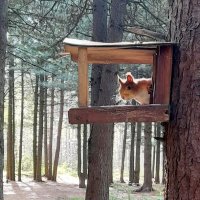 Привет ! :: Мила Бовкун