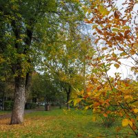 Осенние :: юрий поляков Осенние :: юрий поляков