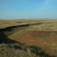 Степь да степь ... :: Наталья Лунева 