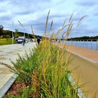 КОЛОМЕНСКОЕ :: АЛЕКСАНДР 