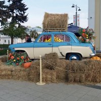 Щедрая осень :: Galina Solovova Щедрая осень :: Galina Solovova