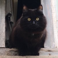 Ну улыбнись!... :: Владимир Павлов