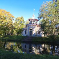 Осень :: Сапсан 