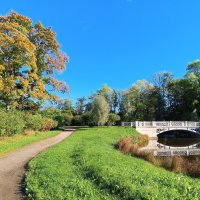 Осень :: Сапсан Осень :: Сапсан