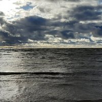 Финский залив :: Наталья Герасимова