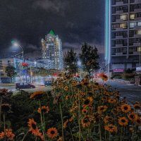 ...всем спокойной ночи.. :: Георгий Никонов ...всем спокойной ночи.. :: Георгий Никонов