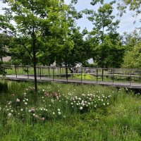 прогулки на природе :: Галина R...