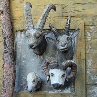 Ноев ковчег :: Gen Vel