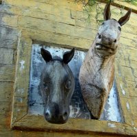 Ноев ковчег :: Gen Vel