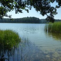 Лето проскокало... :: rimgis 