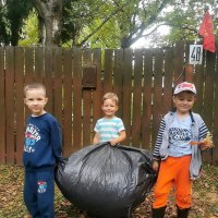 Помощники. :: Ольга Довженко