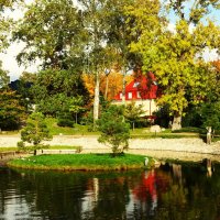 И цапелька в гости на пруд залетела.. :: Aida10 И цапелька в гости на пруд залетела.. :: Aida10