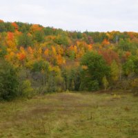 Дыхание осени :: Сергей М 