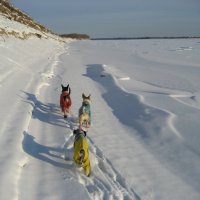 Прогулки :: Anna Ivanova