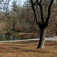 Люблинский парк :: Игорь Белоногов Люблинский парк :: Игорь Белоногов