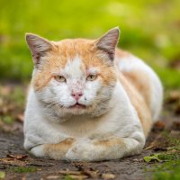 Учёный :: Alex Bush Учёный :: Alex Bush