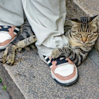 ...чуррррр... мой :: Andrey Bragin ...чуррррр... мой :: Andrey Bragin