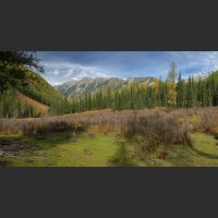 * :: Александр Иванов