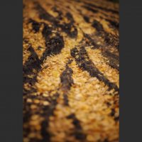 * :: Александр Иванов