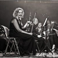 Весёлые смычкИ :) :: Анатолий ИМХО