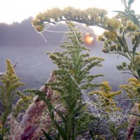 Царицыно 10 сентября :: Михаил Бибичков