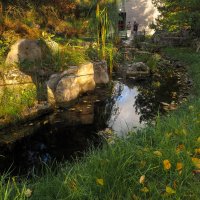 В Парке Хуамин :: юрий поляков