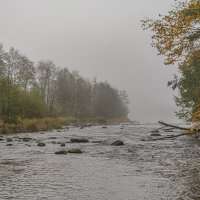 Когда приходит осень..... :: Александр Филатов