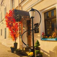 Вежливый фонарь :: Галина Бобкина