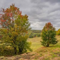 Сентябрь в Царицыно... :: Владимир Жданов