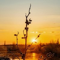 Вечер :: Константин Бобинский