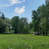 Стрельна. Орловский парк :: Наталья Герасимова Стрельна. Орловский парк :: Наталья Герасимова