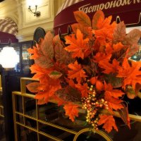 Осень в ГУМе. :: Татьяна Помогалова