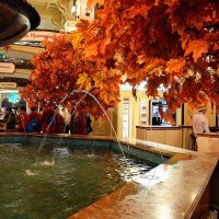 Осень в ГУМе. :: Татьяна Помогалова Осень в ГУМе. :: Татьяна Помогалова